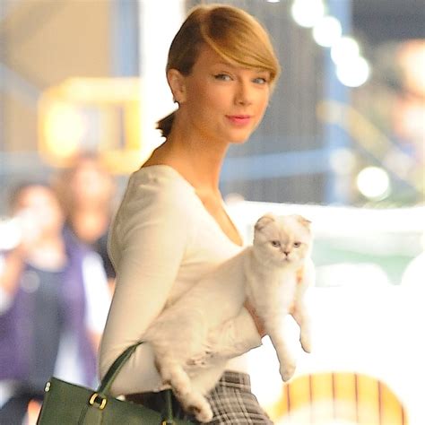 Everything to Know All About Taylor Swift's Cats