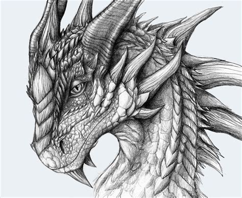 21+ Realistic Dragon Drawings | Free & Premium Creatives | Realistic ...