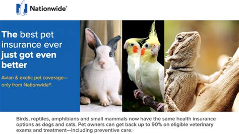 Nationwide unveils new avian and exotic pet insurance plan