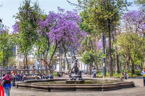 Alameda Central | Things to do in Cuauhtémoc, Mexico City