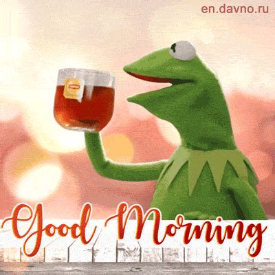 Kermit Tea Drinking Morning Gif Pictures, Photos, and Images for ...