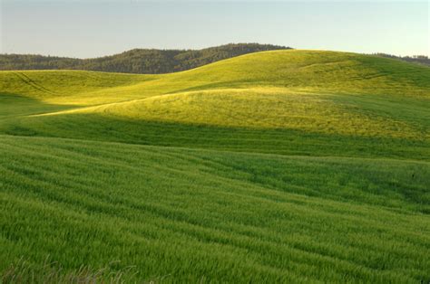 Green, Grassy hills landscape image - Free stock photo - Public Domain ...