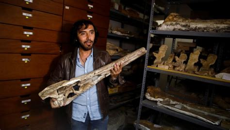 Prehistoric Crocodile Fossils Dated 7 Million Years Discovered In Peru ...