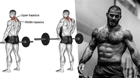 How to Build Huge, Strong Traps with the Barbell Shrug (Benefits ...