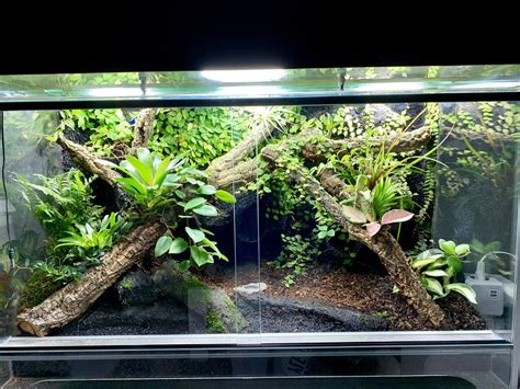 Terrarium Setup