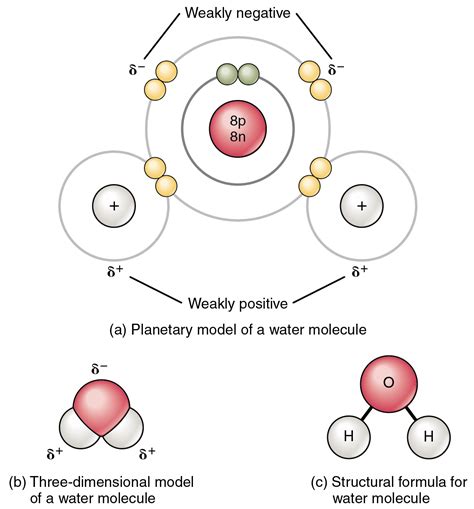 Diagram Of A Molecule