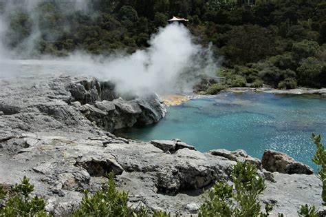 Te Puia Pohutu Geyser, Whaka area (New Zealand) | Pohutu Gey… | Flickr