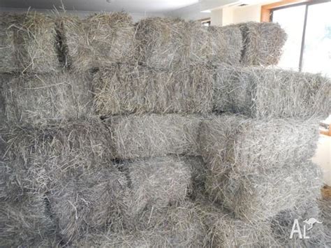 Rhodes grass hay for sale- Pick up off Gooding Dr Merrimac for Sale in ...