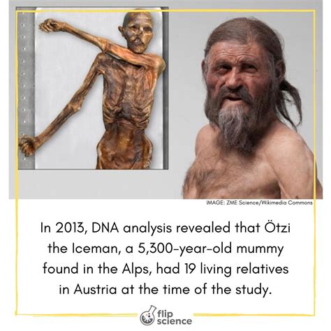 Ancient Ink: Iceman Otzi Has The World's Oldest Tattoos, 49% OFF