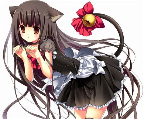 Anime Neko Maid Wallpapers - Top Free Anime Neko Maid Backgrounds ...