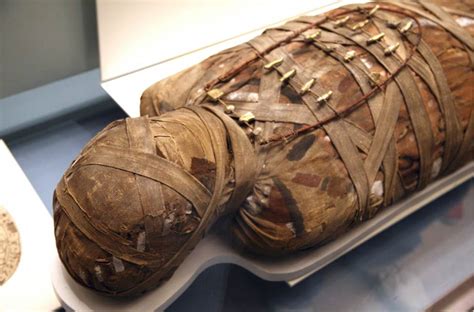 El Minya Mummies | Mummipedia Wiki | Fandom