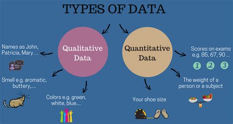 Qualitative Data vs Quantitative Data - BLOCKGENI