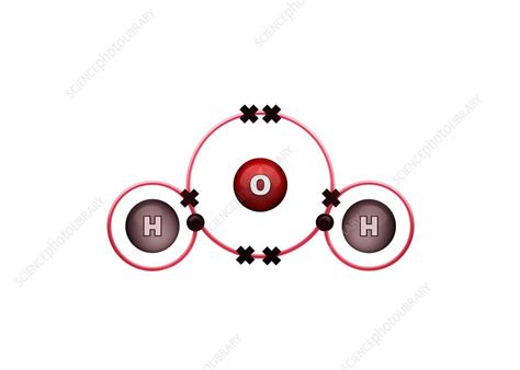 Bond formation in water molecule - Stock Image - C028/6477 - Science ...