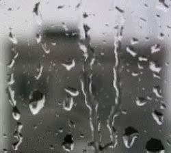 Rain Mood GIF - Rain Mood - Discover & Share GIFs