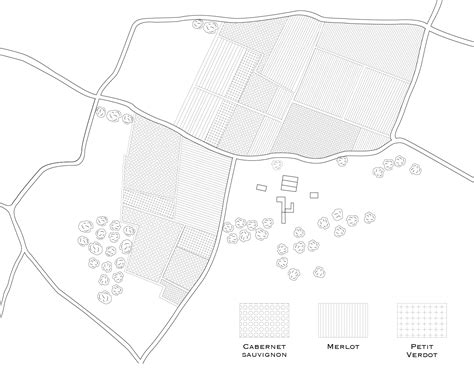 Terroir of Haut-médoc - Chateau Sénilhac - Cru Bourgeois