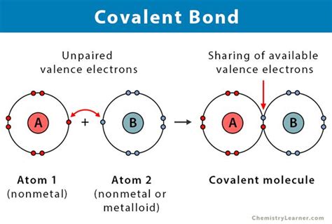 the diagram shows two different types of covalentnt bonds