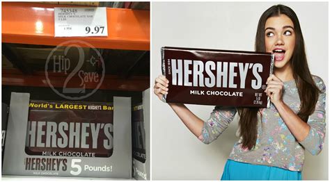 Costco: HUGE 5-Pound Hershey's Milk Chocolate Bar Possibly ONLY $9.97