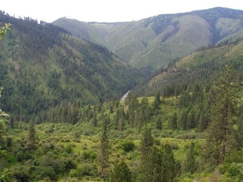 Elk City - Wilderness Property, Elk City, Idaho