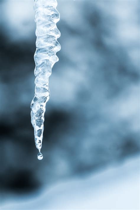 Free Images : water, snow, winter, ice, blue, close up, icicle, melting ...