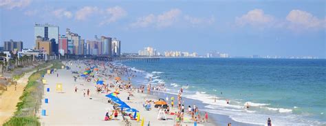 Best Pet Friendly Hotels in Myrtle Beach from $49/night - KAYAK