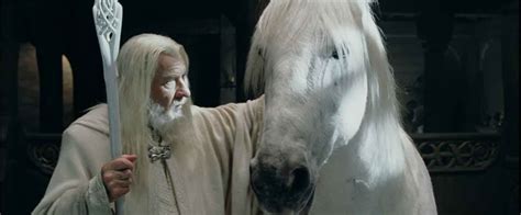 Gandalf and Shadowfax | Horses, Lord of the rings, White horse