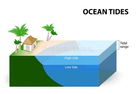 Ocean Tides stock vector. Illustration of difference - 74562820