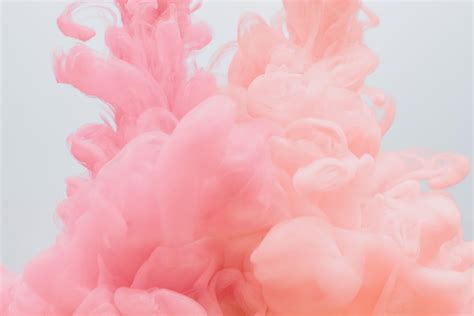 VSCO Flowers Desktop Wallpapers - Top Free VSCO Flowers Desktop ...