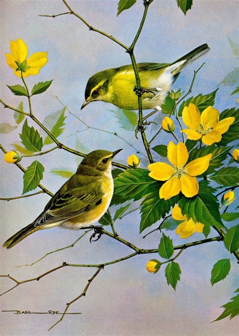 Inspiring Birds quotes /beautiful Birds painting/Basil Ede Painting ...