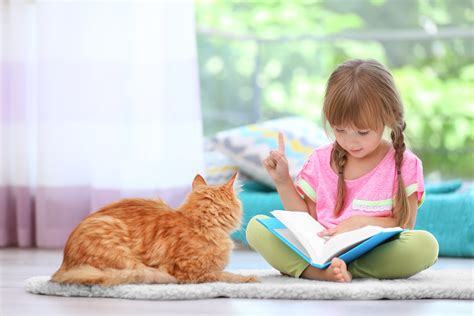 Why Doesn't My Cat Like Kids? — Space Cat Academy