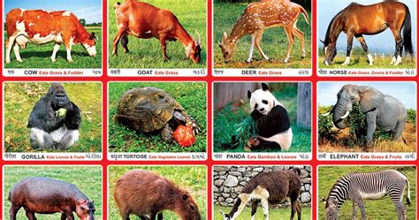 Spectrum Educational Charts: Chart 281 - Herbivorous Animals 1