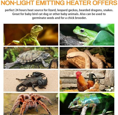 Ceramic Heat Lamp Reptile Heat Emitter Heater Lamp Bulb No Light with ...