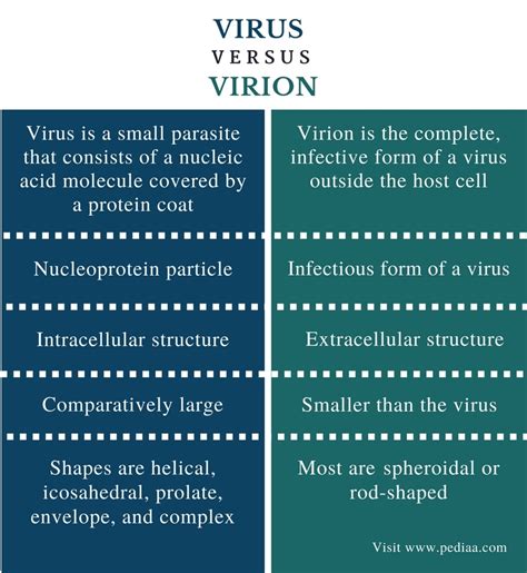 Difference Between Virus and Virion | Definition, Role, Structure ...