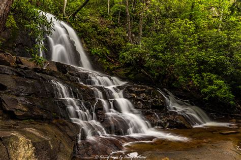 Along The Trail to Laurel Falls on Behance