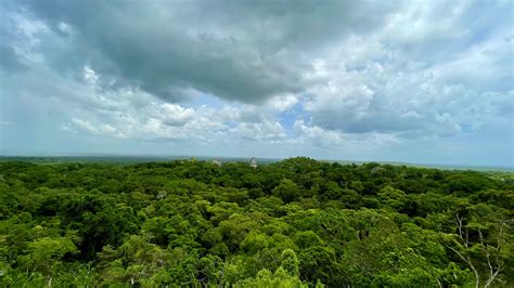 Tikal National Park | Blog