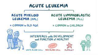 Leukemias Notes: Diagrams & Illustrations | Osmosis