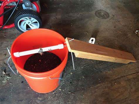 Do it yourself bucket mouse trap.