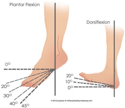 Normal range of motion for the ankle is 0° to 20° dorsiflexion and 0 ...