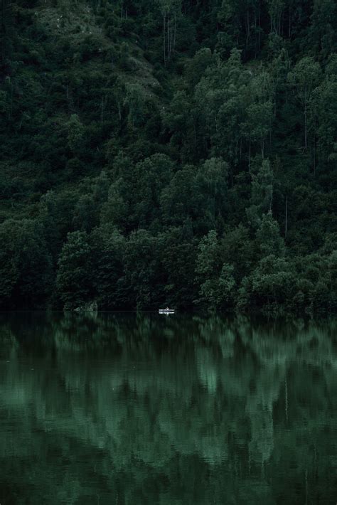 Nature Aesthetic Dark Green Wallpaper Aesthetic / We have a massive ...