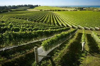 Things To Do in Napier, Hawkes Bay, attractions & Activities