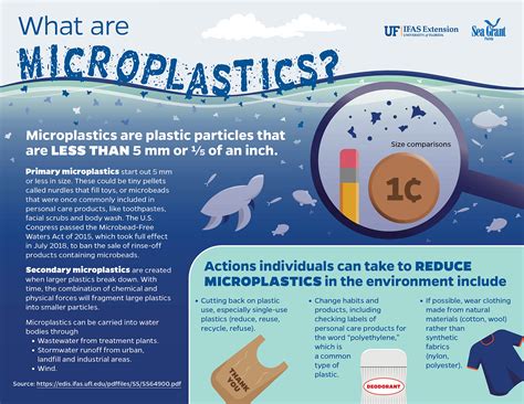 Florida Sea Grant What are Microplastics Infographic - Communications