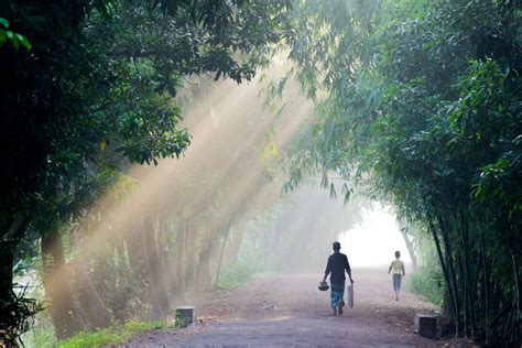 Free stock photo of bangladesh, early morning, fog