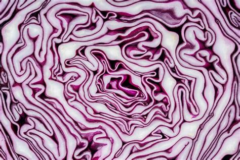 Surprising Health Benefits Of Purple Cabbage (And How To Eat It!)