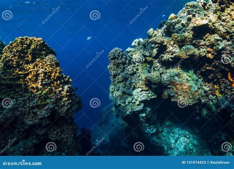 Underwater Rocks with Coral Reef in Ocean. Menjangan Island, Bali Stock ...