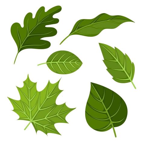 Free Download: Green Leaves Clipart Set Vector