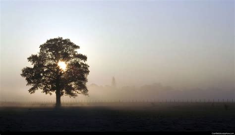 Can It Be Saturday Now .com ? - Foggy sunrise