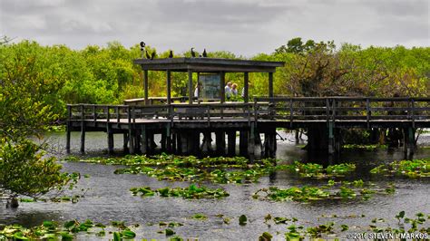 Everglades National Park | ANHINGA TRAIL