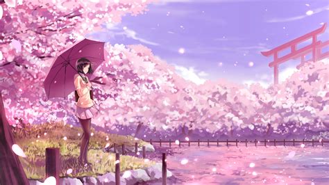 Anime Girl Purple Umbrella Pink Sakura Flowers Background 4K HD Anime ...