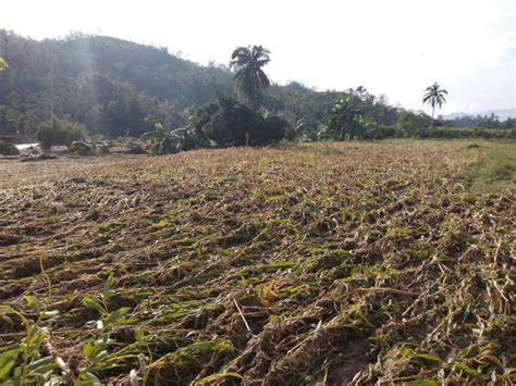 Typhoon Ompong: Impacts on Cordillera Region - Citizens Disaster ...