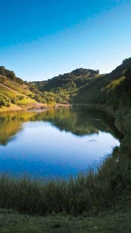 Skyline Wilderness Park Trail Runs - Trailstompers Guide to SF Bay Area ...