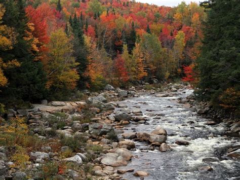 Minnesota Fall Foliage 2017: Peak Dates, Best Time To See Leaves Change ...